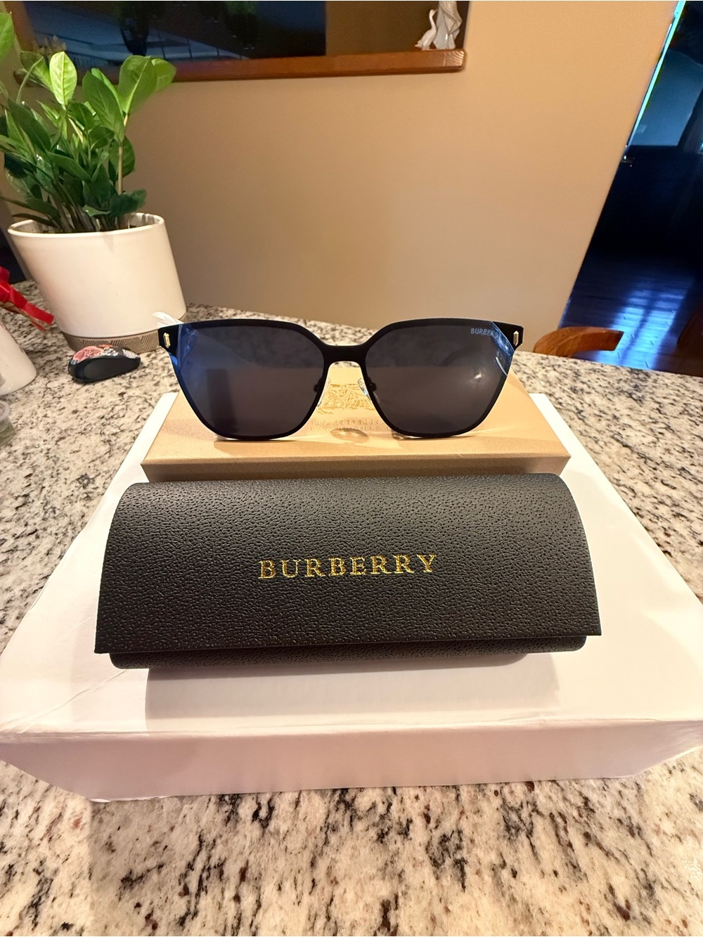 Black Frame Sunglasses with Dark Lenses